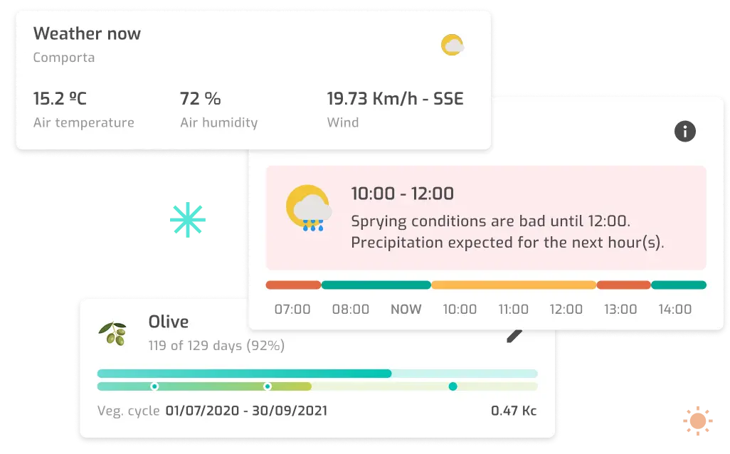 Local weather conditions visual placeholder