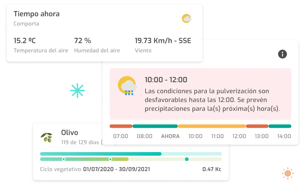 Placeholder visual de las condiciones meteorológicas locales