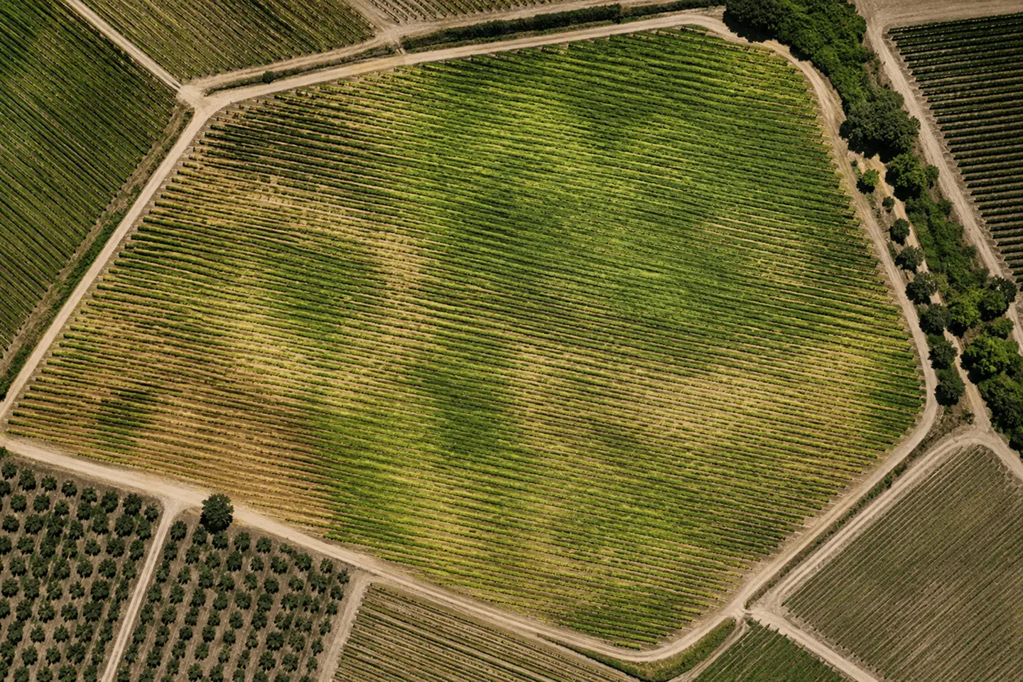Understand crop development