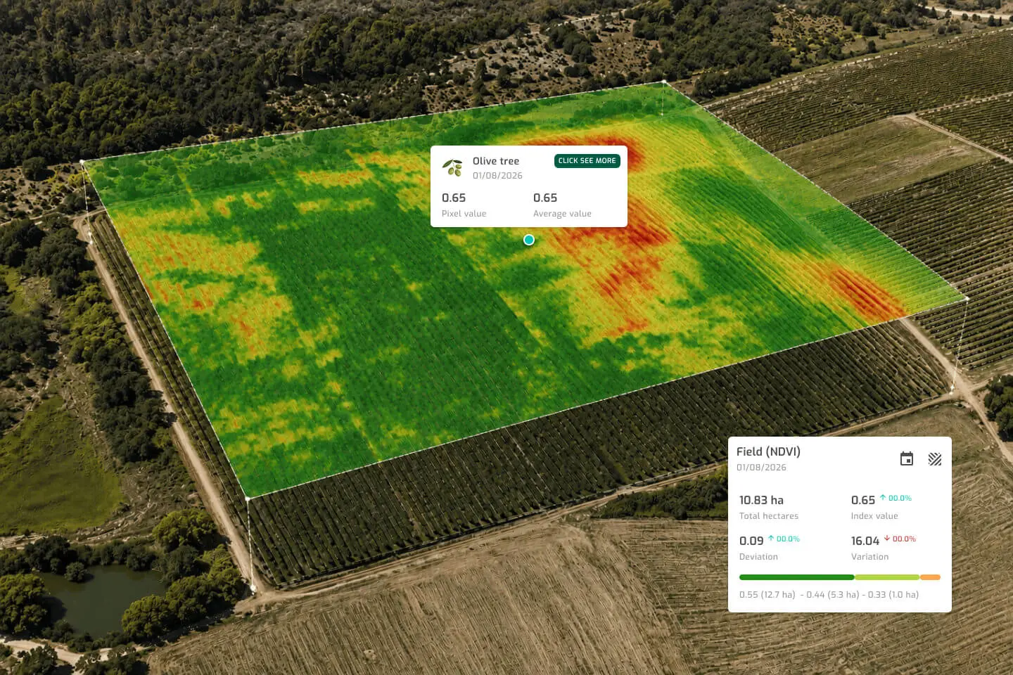 Crop monitoring map showing field variability and crop development data