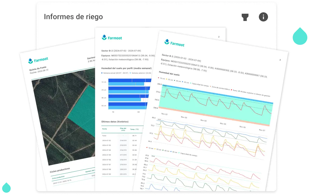 Placeholder visual de informes de riego